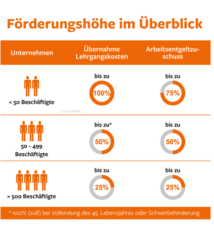 QCG Förderungshöhe im Überblick